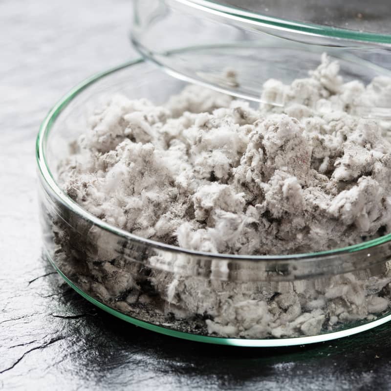 Close-up shot of asbestos fibres in a container.